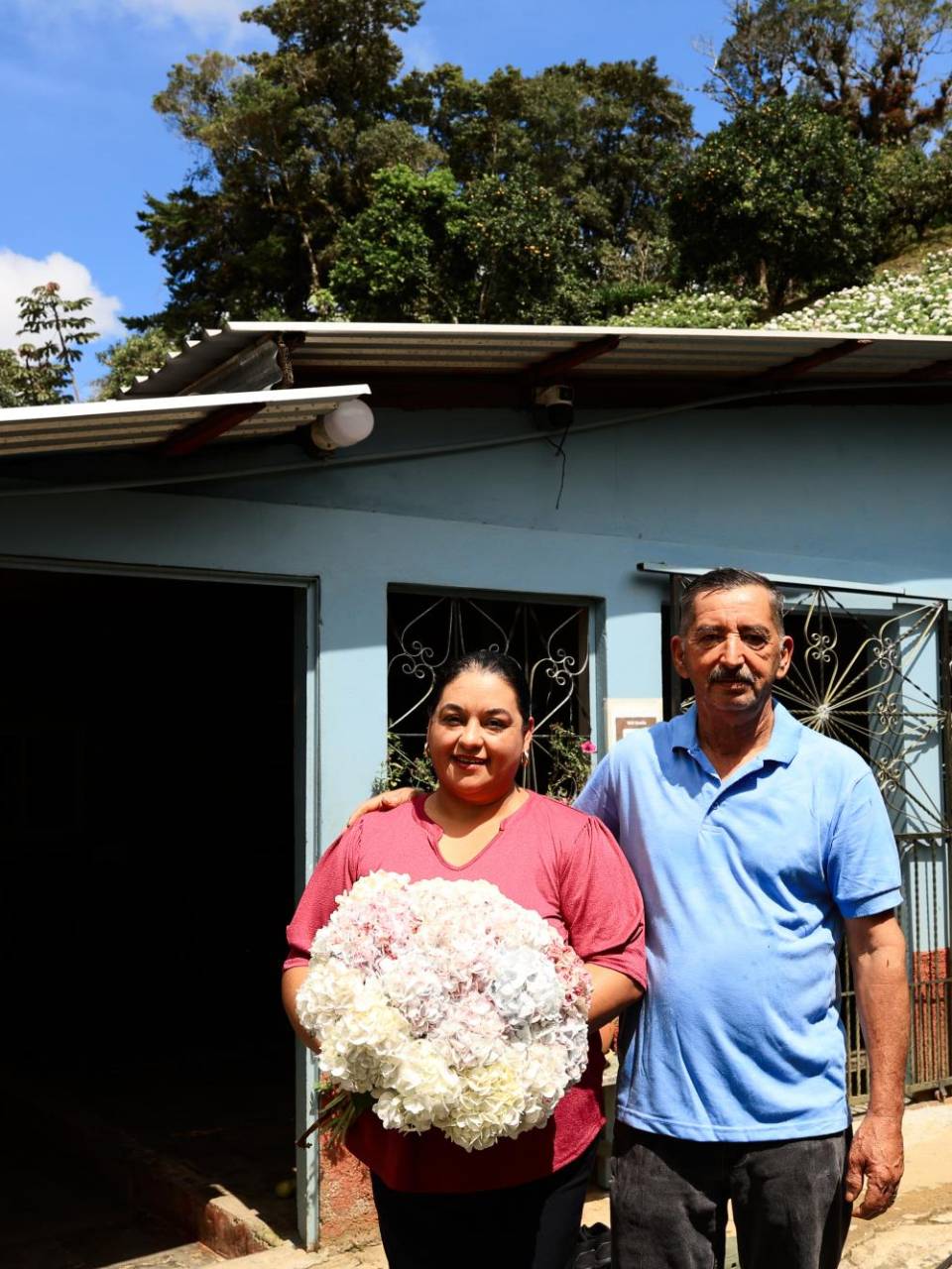 El feriado Morazánico no cabía un alma en el campo de hortensias