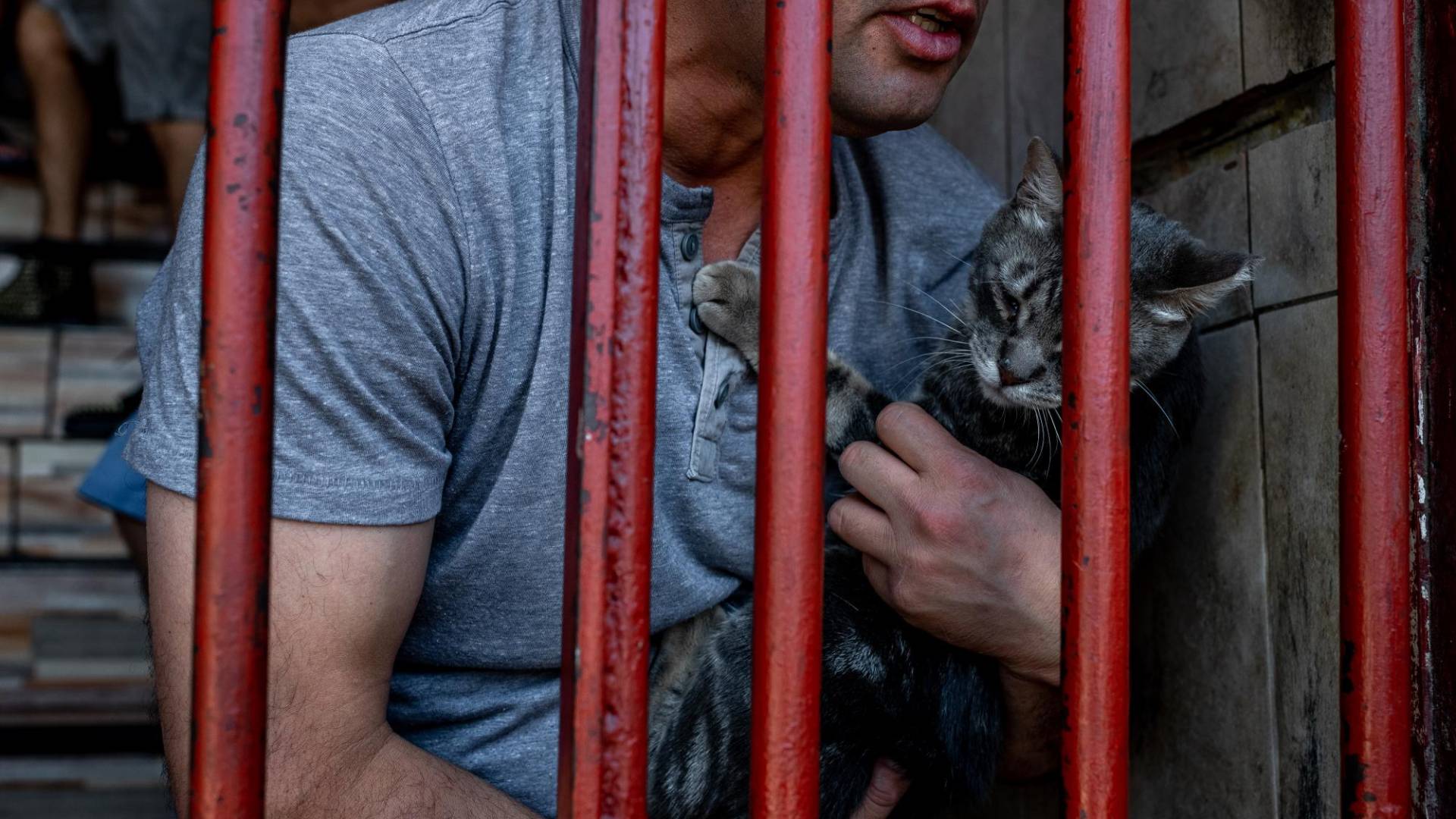 $!Carlos Núñez, un reo, con un gato al que llamó Feíta. “Un gato te hace alimentarlo y cuidarlo”, dice.