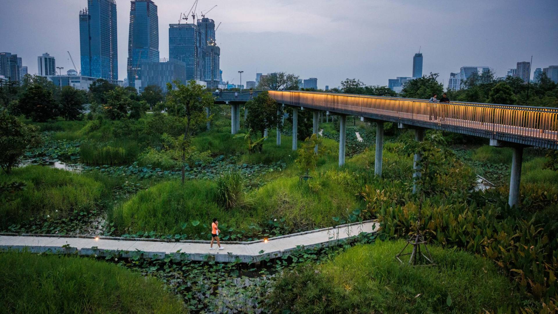 $!Prosperan árboles y humedales en el Parque Benjakitti de Bangkok, donde antes un gran complejo fabricaba cigarros.