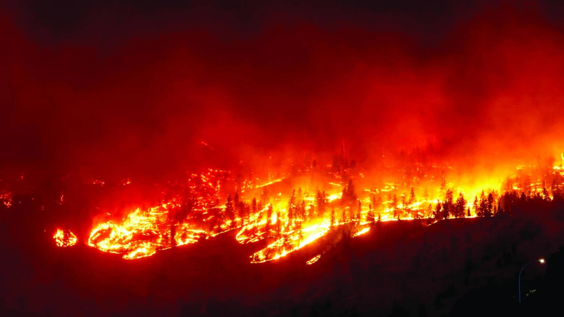 $!Claves 2023: Hechos de impacto en el mundo