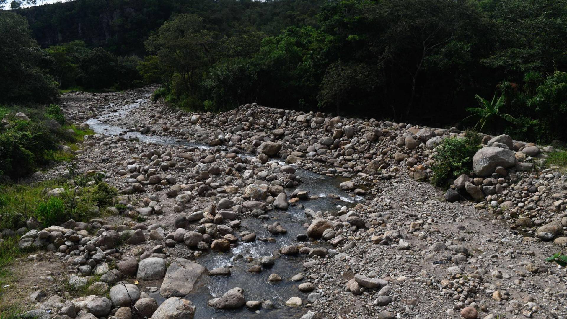 $!Los ríos y las temperaturas que no son habituales en esa zona fresca y lluviosa evidencian impacto de la sequía.