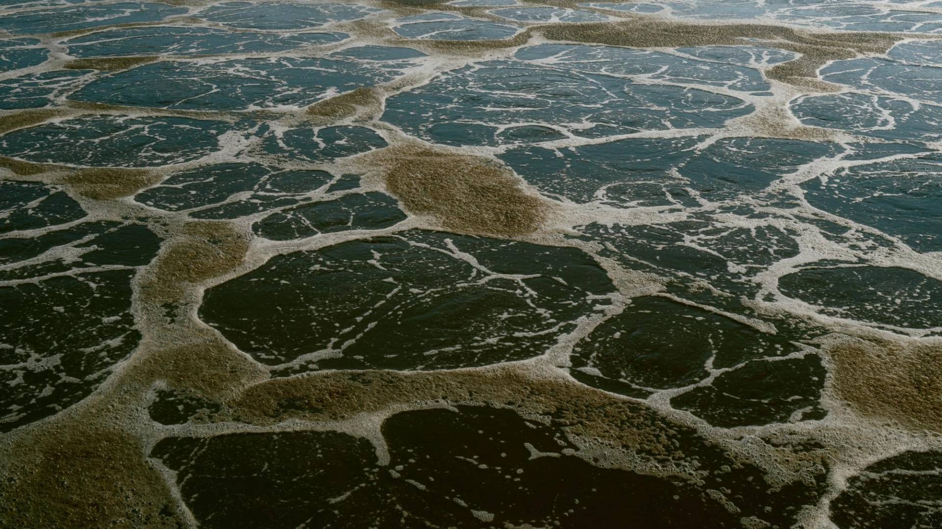 $!Separando lodos de aguas residuales en una planta de tratamiento en Fort Worth, Texas.