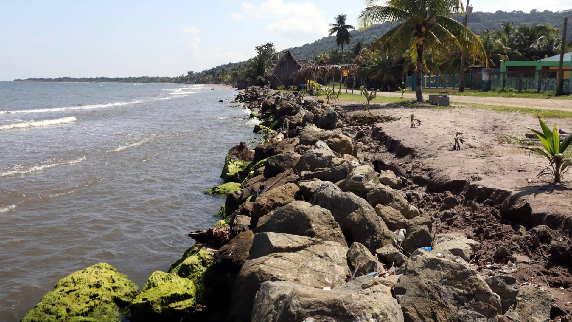 $!La escollera de piedra necesitará ser reforzada, pues se ha comenzado a hundir. Sembraron nuevos cocoteros.