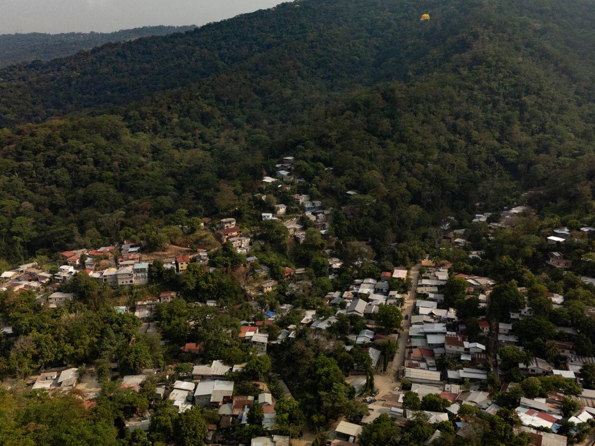 Coalición Ambiental presenta oposición para proteger El Merendón
