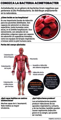 Detectan presencia de otros dos tipos de la bacteria mortal