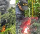 Una plantación de hoja de coca fue destruida este martes por miembros de las Fuerzas Armadas en Tocoa, Colón.