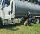 Un contenedor que era movilizado desde la zona norte hacia el occidente de Honduras fue interceptado durante una operación policial en El Progreso, Yoro, donde los agentes encontraron 56 fardos de clorhidrato de cocaína, aproximadamente 1000 kilos; además de armas, chalecos antibalas y municiones.