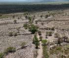 Ni agua para cultivos, ni para el ganado, ni para el consumo: el prolongado verano ha secado gran parte de las fuentes de agua y el desabastecimiento alcanza niveles críticos en Yoro.