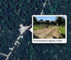 La finca de palma africana está ubicada en la comunidad de Rigores, en Trujillo, Colón. Dentro de este lugar encontraron a 11 personas fallecidas, aparentemente trabajadores.