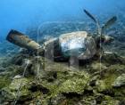 Fotos obtenidas en exclusiva por LA PRENSA Premium muestran la aeronave fragmentada en cinco partes, sumergida en el fondo del mar de Roatán.