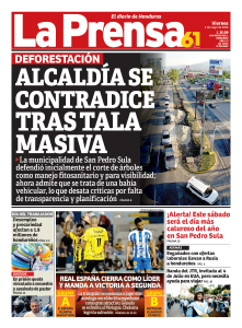 Alcaldía se contradice tras tala masiva