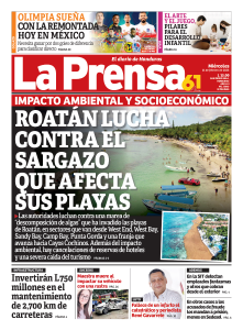 Roatán lucha contra el sargazo que fecta sus playas