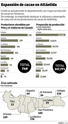 Reconocimiento en París motiva a productores de cacao en Honduras