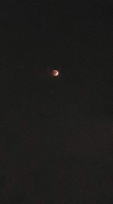 Lectores de LA PRENSA reportan como ven el eclipse lunar