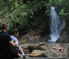 Científicos estudian aves del Parque Nacional Cerro Azul Meámbar