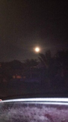 Lectores de LA PRENSA reportan como ven el eclipse lunar