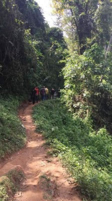 Mico Quemado, belleza natural: refugio de fauna y vida silvestre
