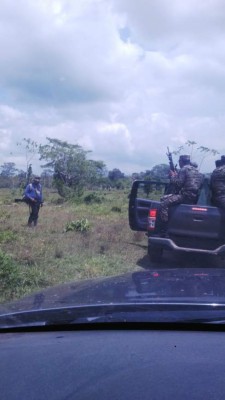 Tensión en La Mosquitia por invasión de tierras por nicaragüenses