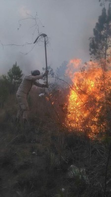 Incendio casi arrasa con ocho viviendas y un restaurante en Siguatepeque