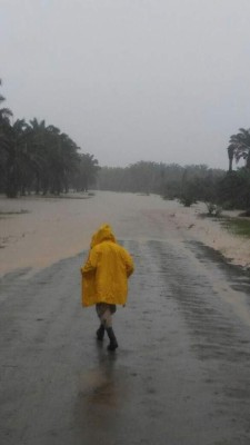 Lluvias provocan inundaciones y evacuaciones en Tela y Tocoa