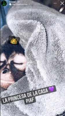 Hasta el momento, Chistian Nodal no se ha pronunciado al respecto.