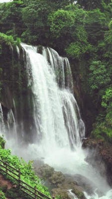 San Francisco de Yojoa, una tierra de costumbres y tradiciones