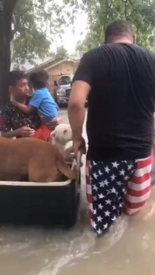 Las imágenes de los hondureños afectados por inundaciones en Houston