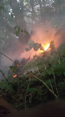 Incendio provocó emanación de humo blanco en Pico Bonito