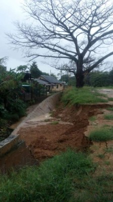 Lluvias dejan varios damnificados en Tela y Trujillo