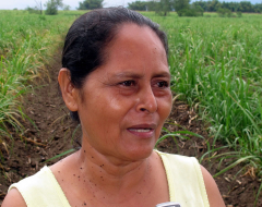 Rescatan el cadáver de menor ahogado en Yoro