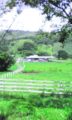 Incautan 3 haciendas, hotel y empresa de cable a la familia Valle