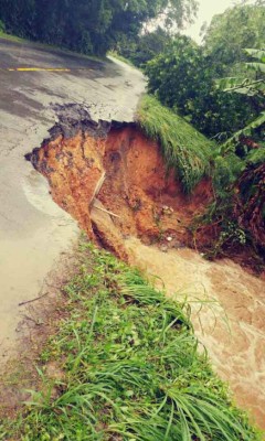 Lluvias dejan un muerto y destrucción en Roatán