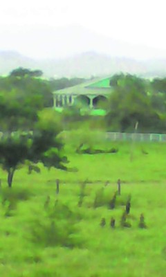 Incautan 3 haciendas, hotel y empresa de cable a la familia Valle