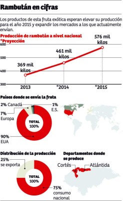 Rambután hondureño llega a Estados Unidos y Europa