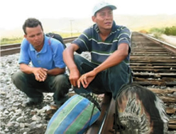 Muere hondureño cuando dormía bajo vagones de tren