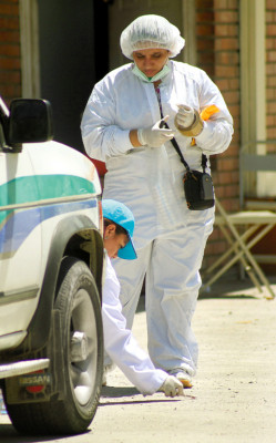 Por narco fue tiroteo en canchas sampedranas