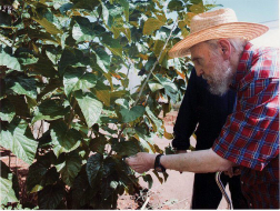 Fidel Castro habla sobre los beneficios de la moringa