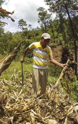 Niños hondureños resisten hambruna con la merienda escolar