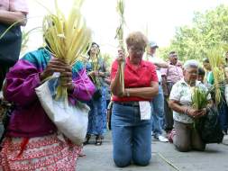 '¡Hossana, bendito el que viene en nombre del señor”