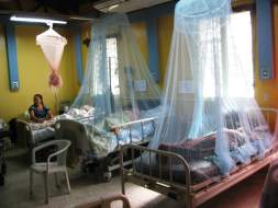 Crean Frente Nacional de Lucha contra el Dengue