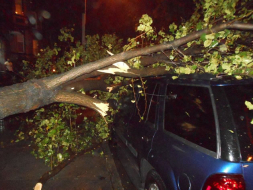 Unos 200,000 catrachos sintieron furia de Sandy