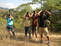 El colibrí esmeralda también habita en Lempira