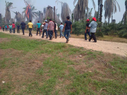 Ultiman a presidente de patronato de Sabá