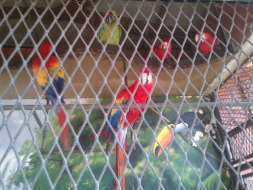 Fiscalía incauta tienda y hacienda de Chepe Handal