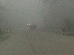 Fotos: La neblina cubrió el cielo de San Pedro Sula; anuncian frío