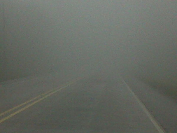 Fotos: La neblina cubrió el cielo de San Pedro Sula; anuncian frío