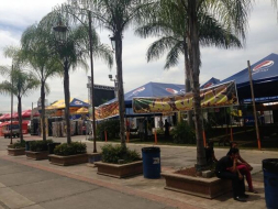 Mañana abren Agas y Expocentro en San Pedro Sula