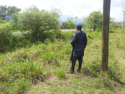 Hallan a dos amigos muertos en bolsas
