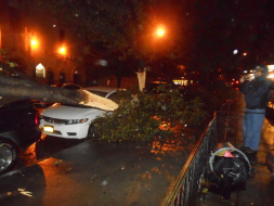 Unos 200,000 catrachos sintieron furia de Sandy