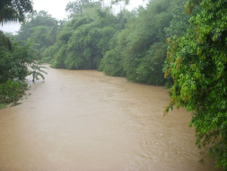 Fuertes lluvias dejan una familia damnificada en Tela